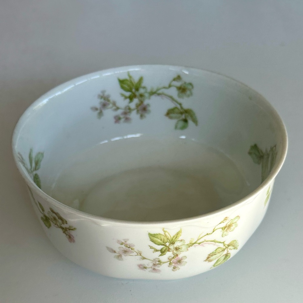Limoges Haviland Schleiger 62 Antique Floral Cranberry Bowl Porcelain